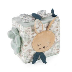 Pasito a Pasito Κύβος Δραστηριοτήτων Bunny 1120900237