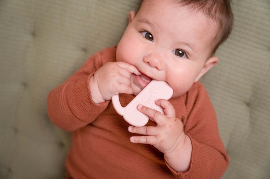 Μασητικό Σιλικόνης Λουλούδι Little Dutch 2012281 - Image 4