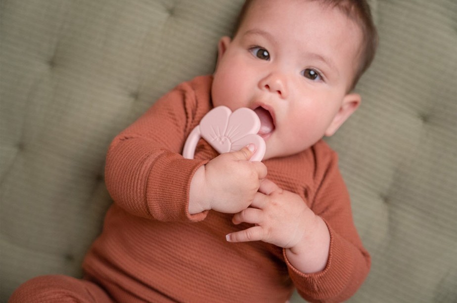 Μασητικό Σιλικόνης Λουλούδι Little Dutch 2012281 - Image 6